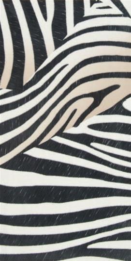 Rak 30x60 Zebra Black White Seramik