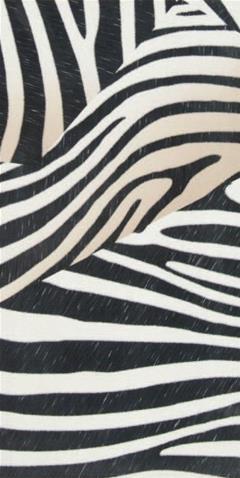 Rak 30x60 Zebra Black White Seramik