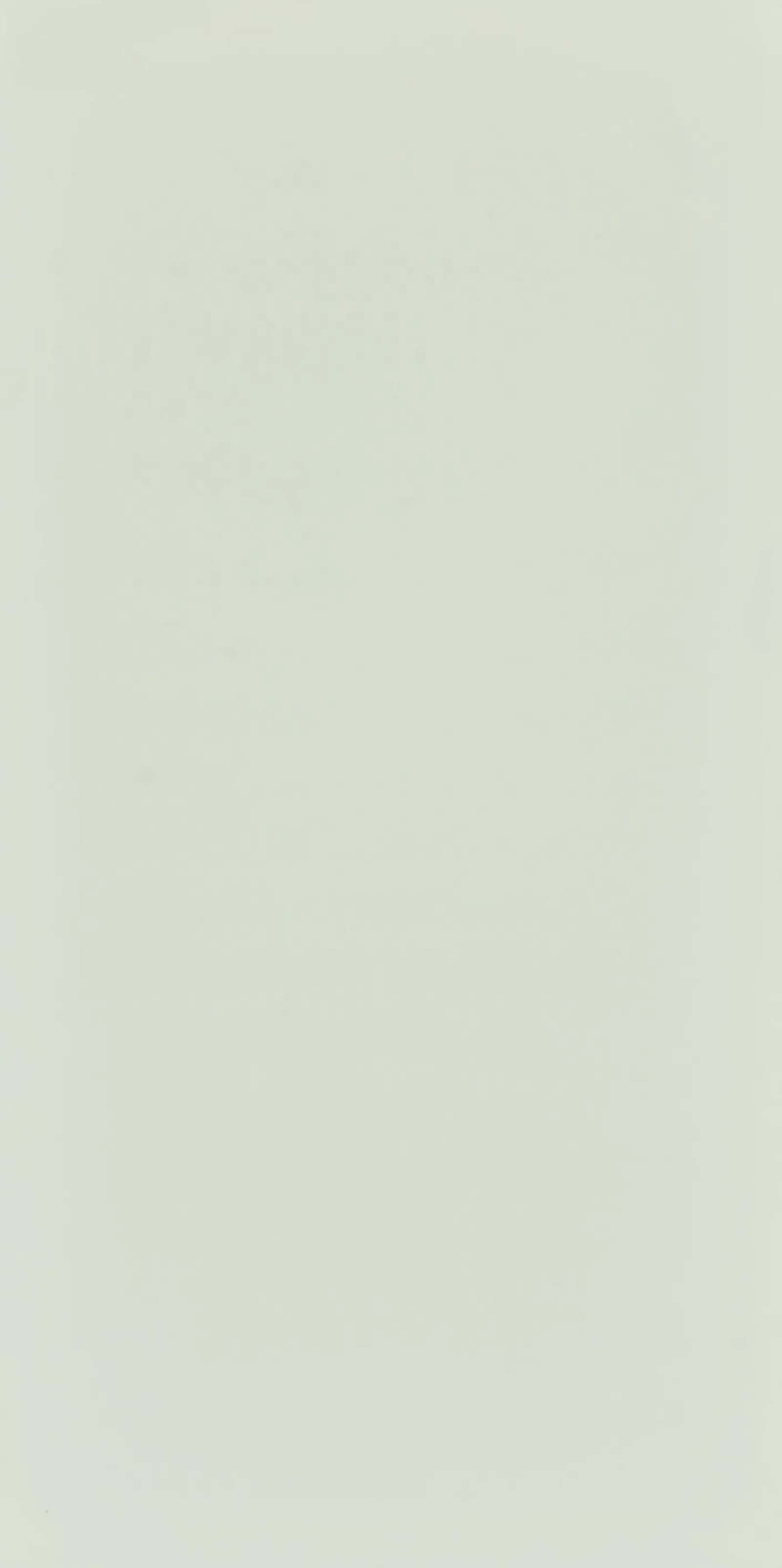 Seranit Style Pastel 60x120 Açık Yeşil Kurumsal Seramik ve Porselen Karo