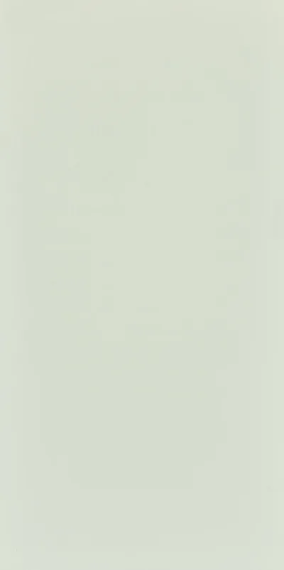 Seranit Style Pastel 60x120 Açık Yeşil Kurumsal Seramik ve Porselen Karo