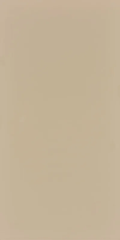 Seranit Style Pastel 60x120 Earth Kurumsal Seramik ve Porselen Karo