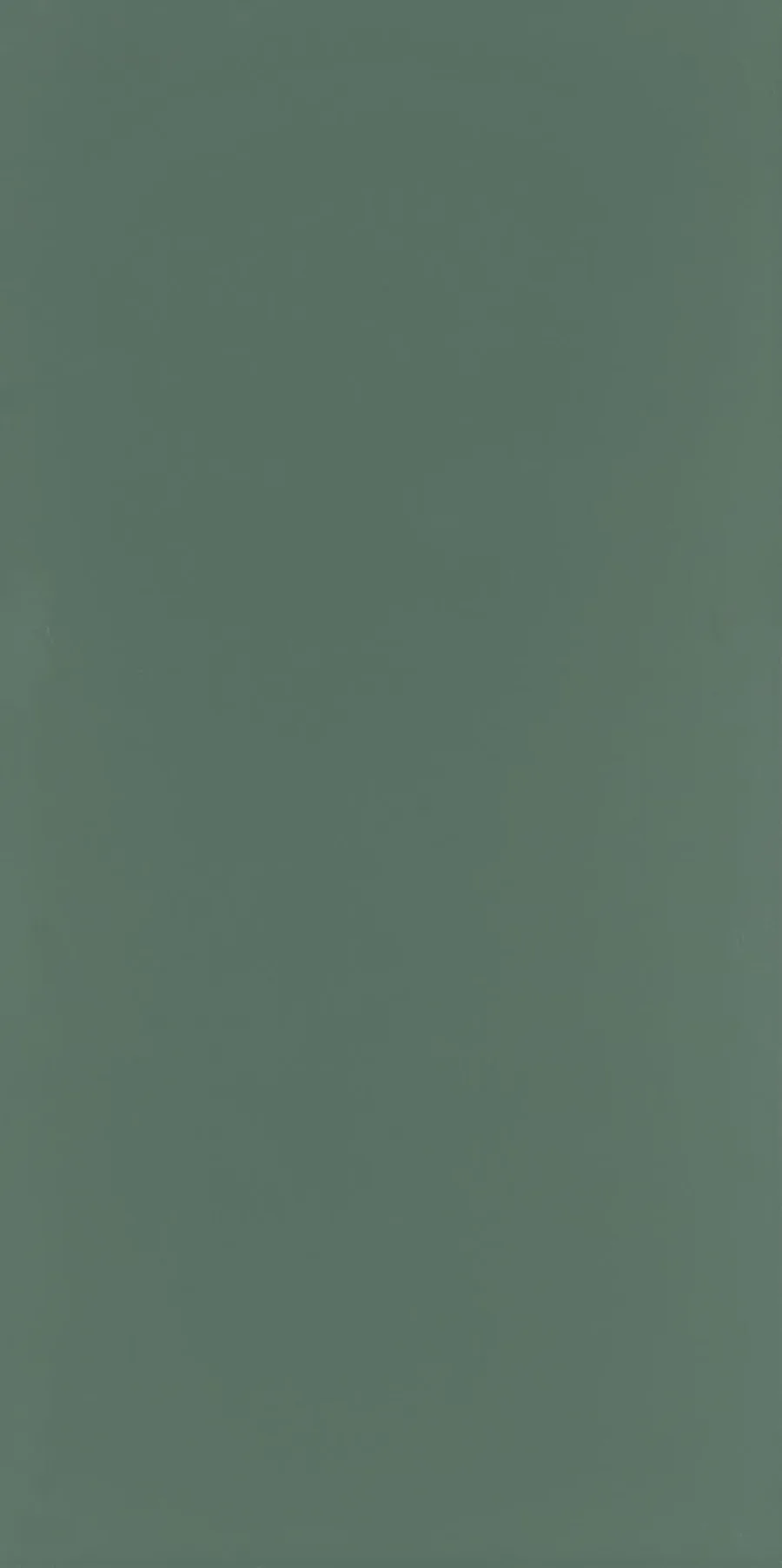 Seranit Style Pastel 60x120 Mat Koyu Yeşil Duvar Karosu